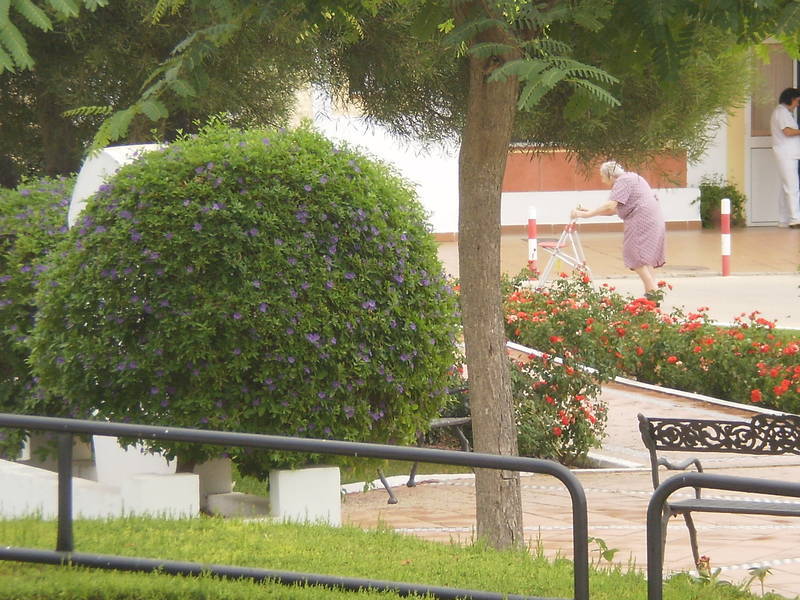 Jard&iacute;n